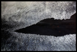 Frozen bird