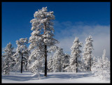 Winter landscape Dalarna