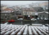 Newly fallen snow otside my window at Hoyos del Espino