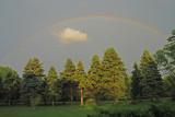 Noahs Great Rainbow