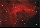 IC 5067 Widefield