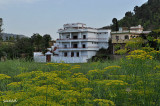 A house in Hill samahni