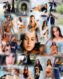 Violinist collage