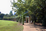 Atlanta Botannical Gardens
