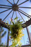 Atlanta Botannical Gardens