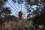 Atlanta Botannical Gardens