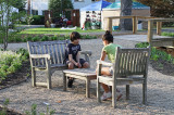 IMG_1599 Playing