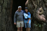 IMG_5341 In front of a redwood tree  **