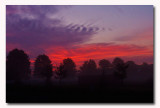 CRW_4041 Foggy sunrise