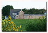 IMG_8509 Farm