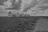 Alberta Prairie