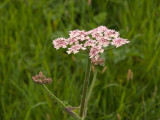2011-05-19_9882.jpg