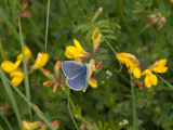 2011-05-19_9883.jpg
