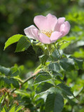 2011-05-19_9888.jpg