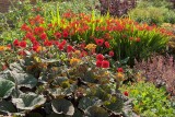 2011-07-23_1249.jpg