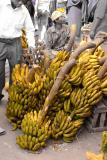 Market- What a lot of bananas
