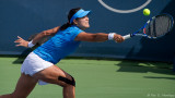 Li Na, 2011