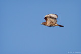 Fly by