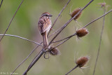 In a field 