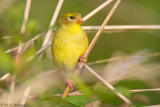 In a field 