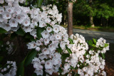 IMG_8023.jpg