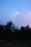 The Pines at dusk