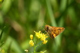 IMG_8522.jpg