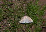 IMG_9324.jpg