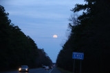 IMG_7113.jpg