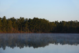 IMG_7125.jpg