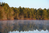 IMG_7132.jpg