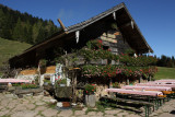 Gruber Alm