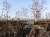 918eme_02454r.jpg