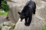 2012 05 26_0303.JPG