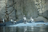 2012 05 26_0338.JPG