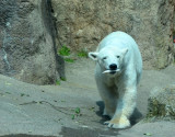 2012 05 26_0354.JPG