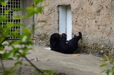 2012 05 26_0392.JPG