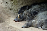 2012 05 26_0401.JPG