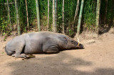2012 05 26_0403.JPG