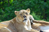 2012 05 26_0495.JPG
