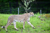 2012 05 26_0534.JPG