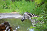 2012 05 26_0554.JPG