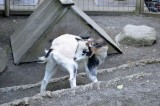 2012 05 26_0551.JPG