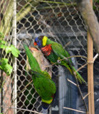 2012 05 26_0574.JPG