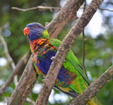 2012 05 26_0575.JPG