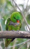 2012 05 26_0587.JPG