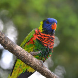 2012 05 26_0590.JPG