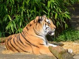 2012 05 26_0597.JPG