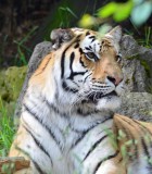 2012 05 26_0599.JPG