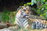 2012 05 26_0600.JPG